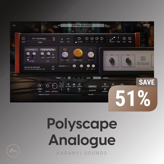 POLYSCAPE ANALOGUE
