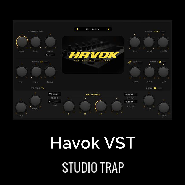 Havok VST