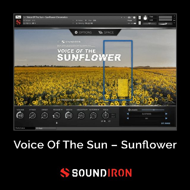 Voice Of The Sun: Sunflower - Authentic Ukrainian Female Vocals For Kontakt