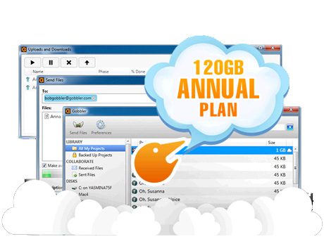 Gobbler 75GB Unlimited Annual Plan